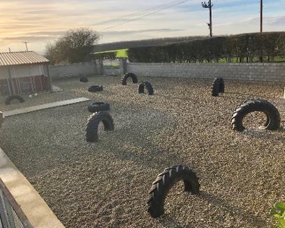 New 'Pet Park'
