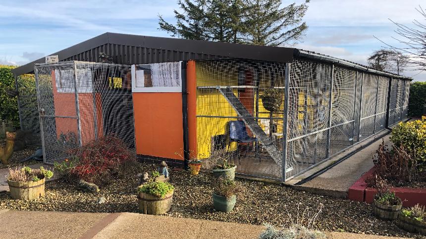Catteries with outdoor sales runs